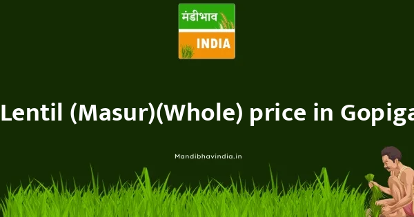 Lentil (Masur)(Whole) price